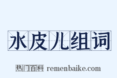 水皮儿组词是什么意思的图片